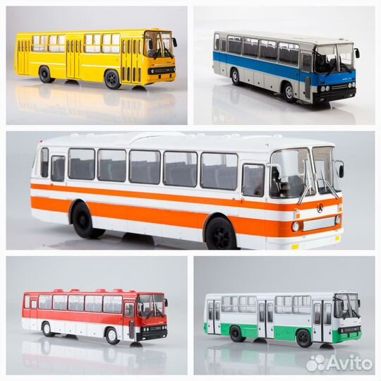 Автобусы Модимио