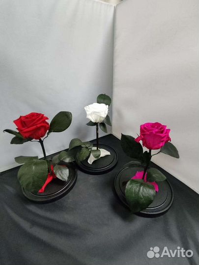 Роза в колбе оптом