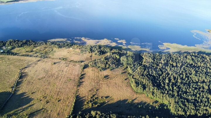 Участок 5,5 га (СНТ, ДНП)