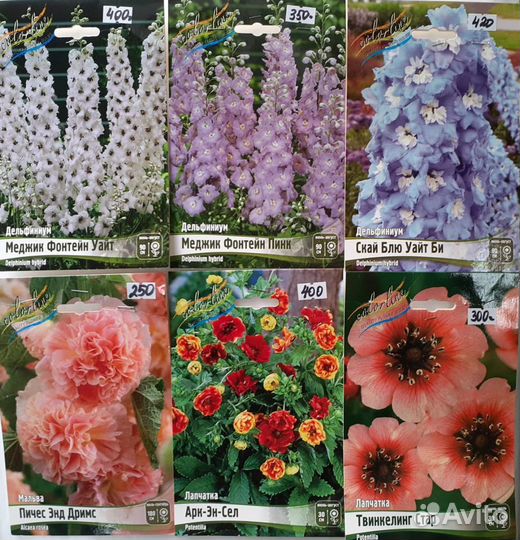 Многолетние цветы Голландия, пионы, клематисы