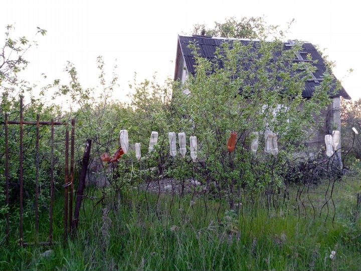 Участок 6 сот. (СНТ, ДНП)