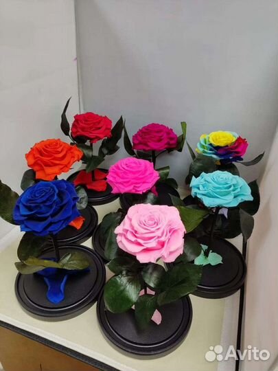 Роза в колбе оптом и в розницу