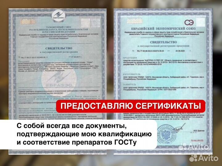 Уничтожение тараканов, уничтожение клопов