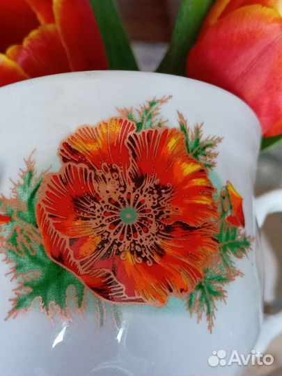 Лфз, Прокопьевский з-д, Полонное и др. СССР