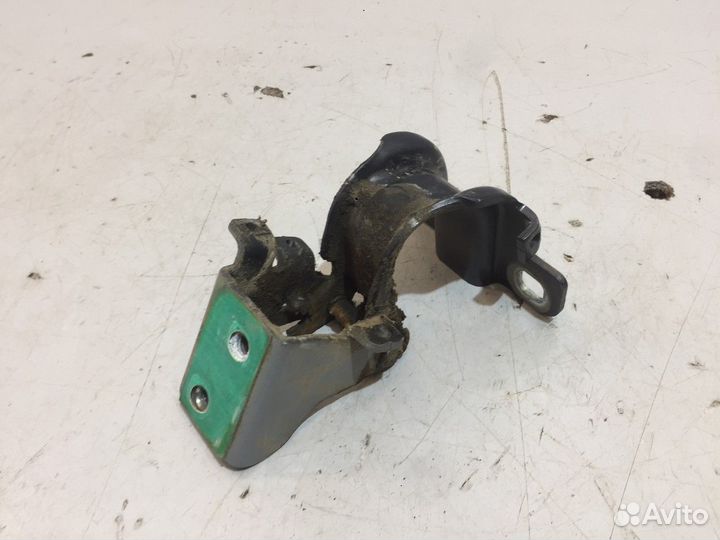 Петля двери/крышки багажника