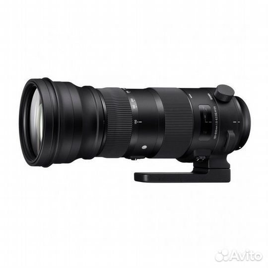 Sigma AF150-600 MM F5.6.3 DG OS HSM sports nikon