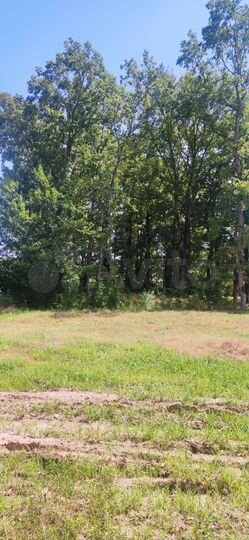 Участок 15 сот. (ИЖС)