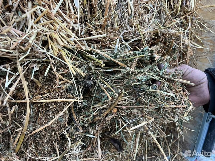 Сено в тюках