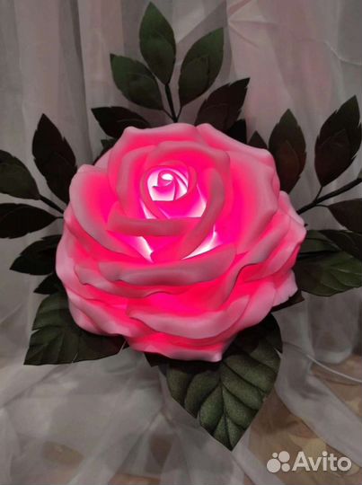 Цветы лилии розы, пионы букет цветов