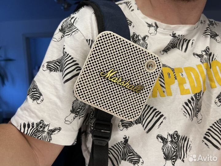 Колонка Marshall Willen