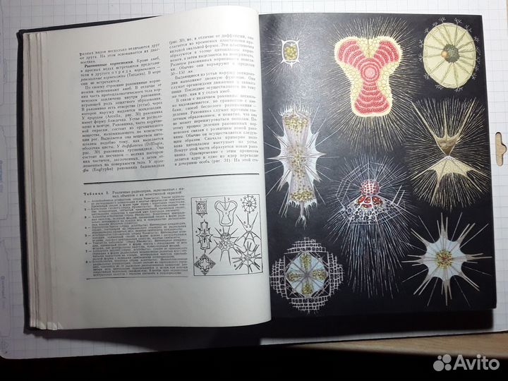 Жизнь животных. Том 1. Беспозвоночные