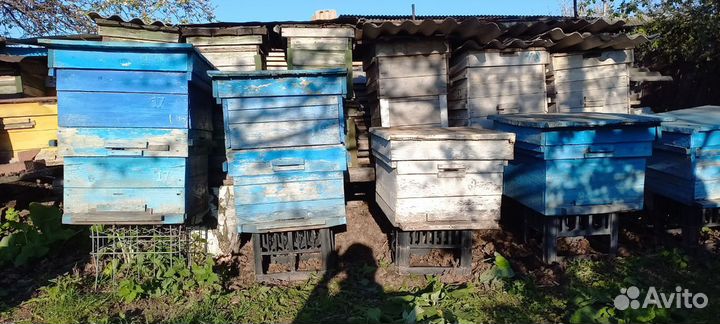 Продам 12 рамочные улья для пчел
