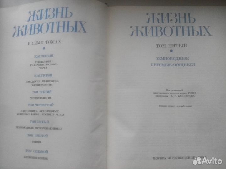 Жизнь животных