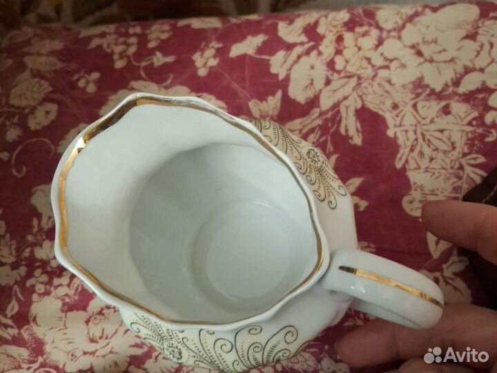 Молочник Вербилки Перо жарптицы