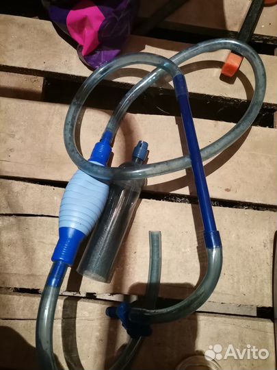 Песчанник и сифон