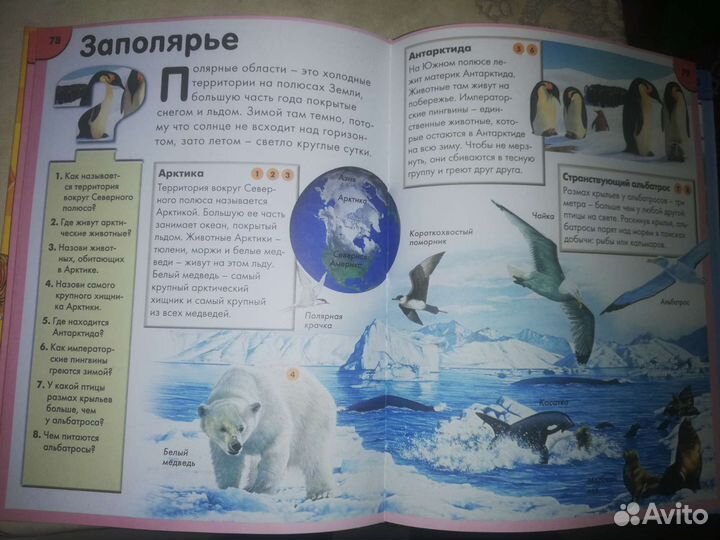 Детская энциклопедия