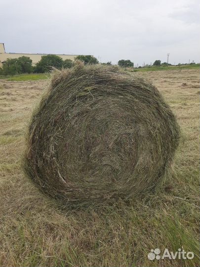 Тюкование, скос, похание