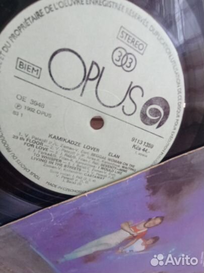 Kamikadze lover Elan