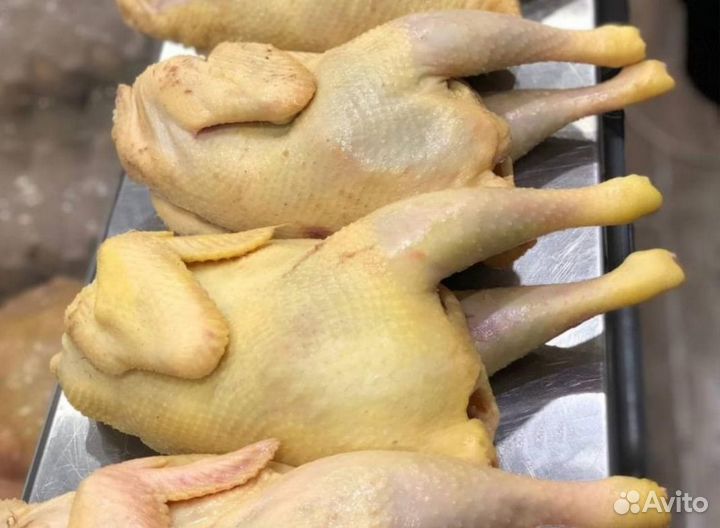 Куры деревенские