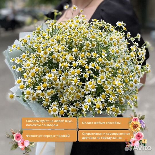 Ромашки полевые / Матрикария / Доставка цветов