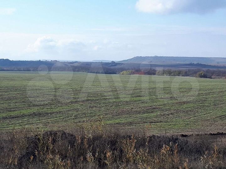 Участок 9,14 га (СНТ, ДНП)