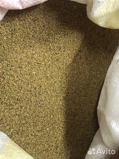 Семена Люцерны