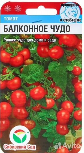 Рассада томатов Горшечный Каменный Балконный
