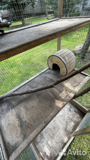 Клетка для белок