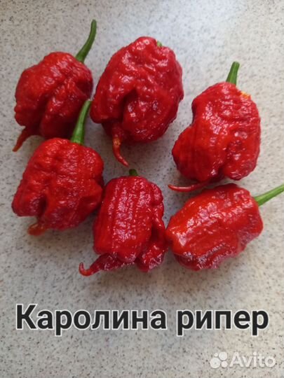 Семена суперострого перца