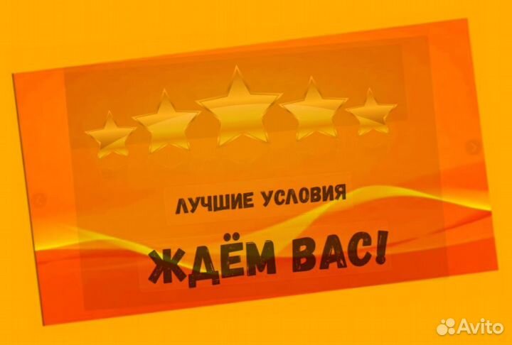 Маркировщик Еженедельный аванс М/Ж Спецодежда