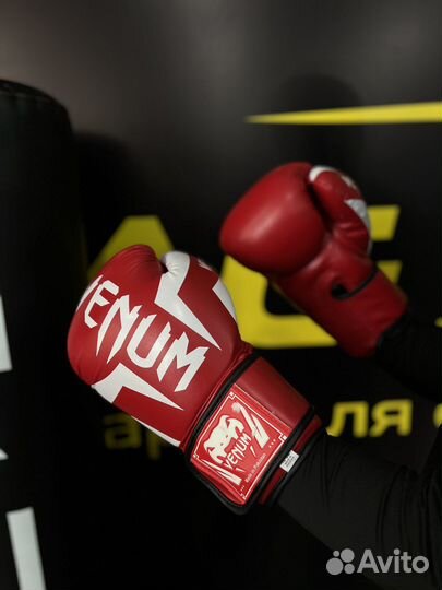 Боксёрские перчатки для единоборств Venum