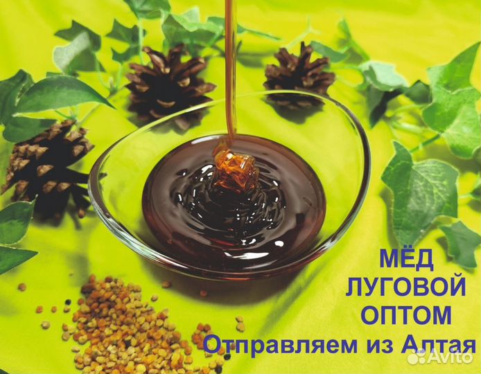 Алтайский мед 2023 г (опт)