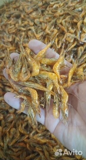 Креветка азовская вареная
