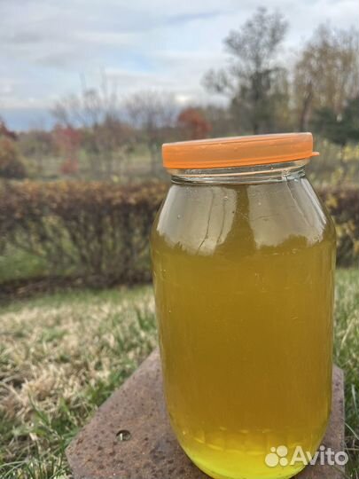 Мед липовый натуральный