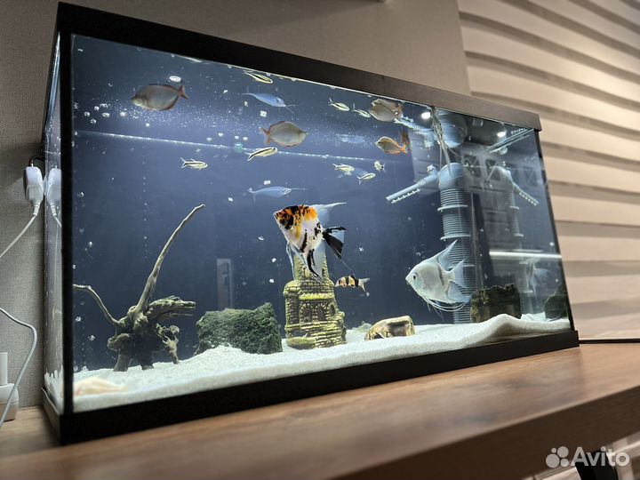 Аквариум