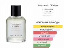 Предраспив laboratorio olfattivo Tiglio Mirabilis