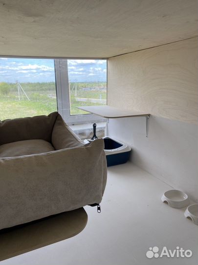 Гостиница для кошек