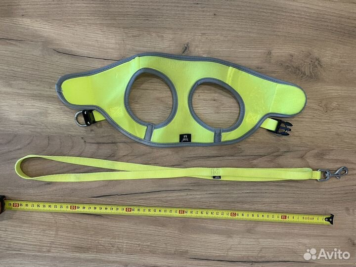 Шлейка с поводком для щенка или маленькой собаки