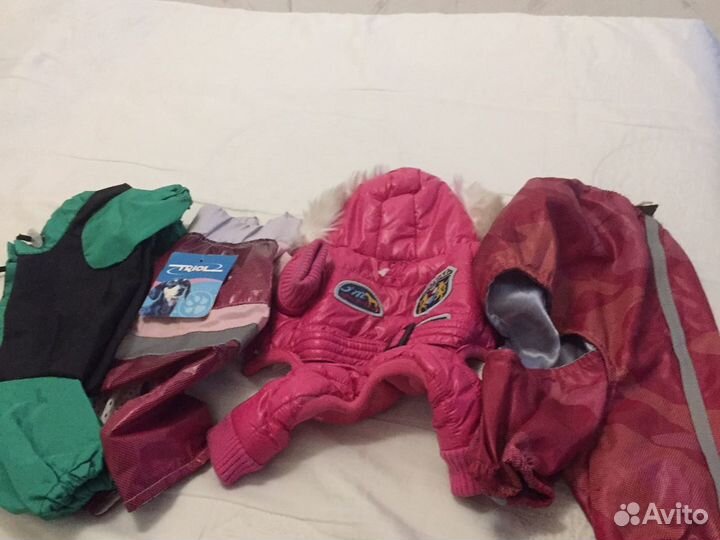 Одежда для собак