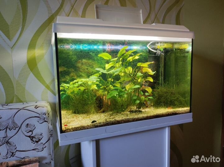 Аквариум с тумбой Juwel 60 л
