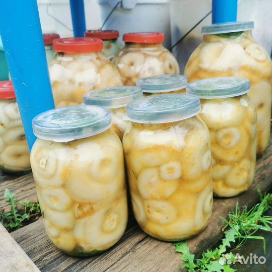 Грибы грузди соленые