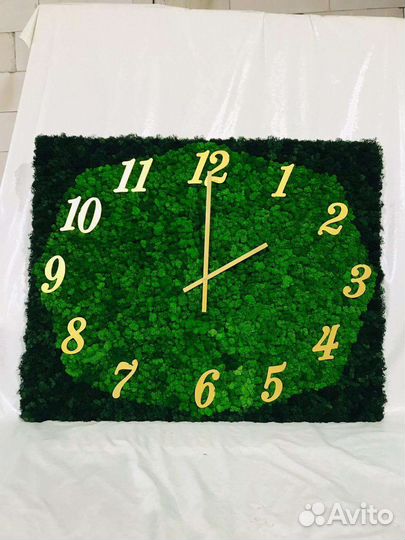 Мох стабилизированный оптом и в розницу