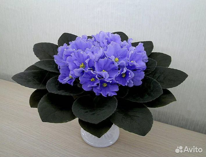 Фиалки сортовые