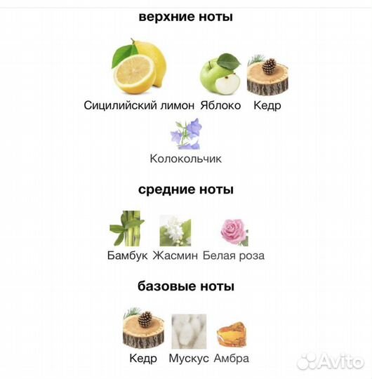 Dolce gabbana light blue