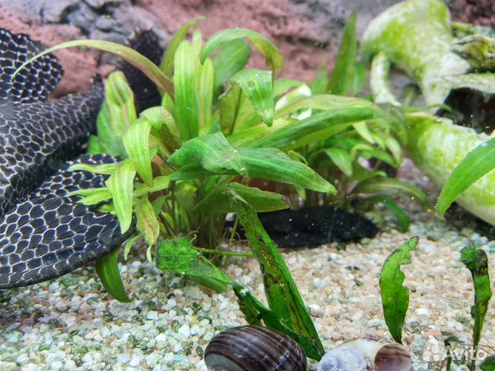 Аквариум с тумбой