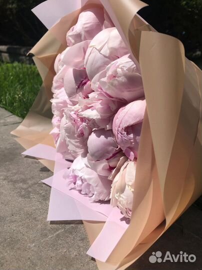 Цветы пионы с доставкой