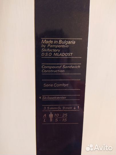 Горные лыжи