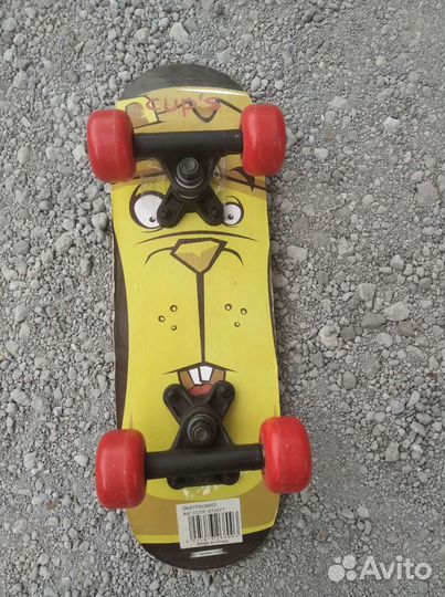 Кот на колёсах