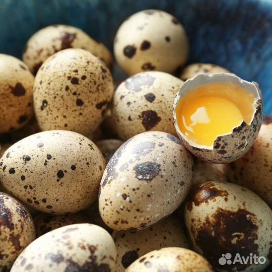 Яйца перепелиные