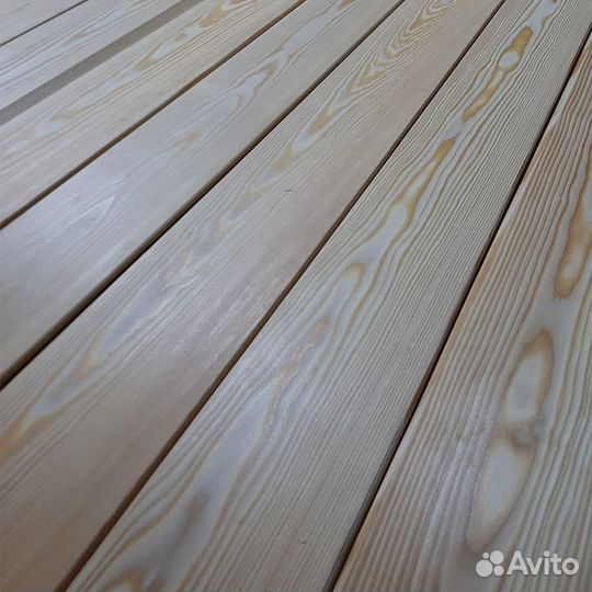 Планкен лиственница сорт ав